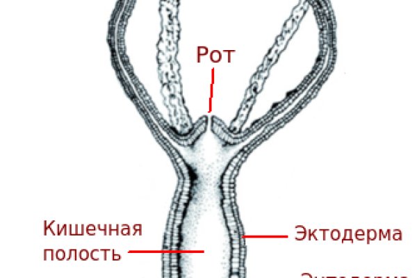 Кракен сайт вход kraken torion