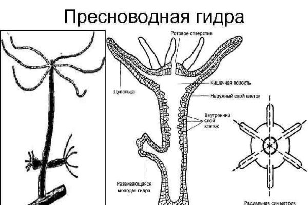 Кракен маркетплейс kraken clear com